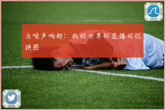 当哨声响起：我的世界杯直播记忆拼图